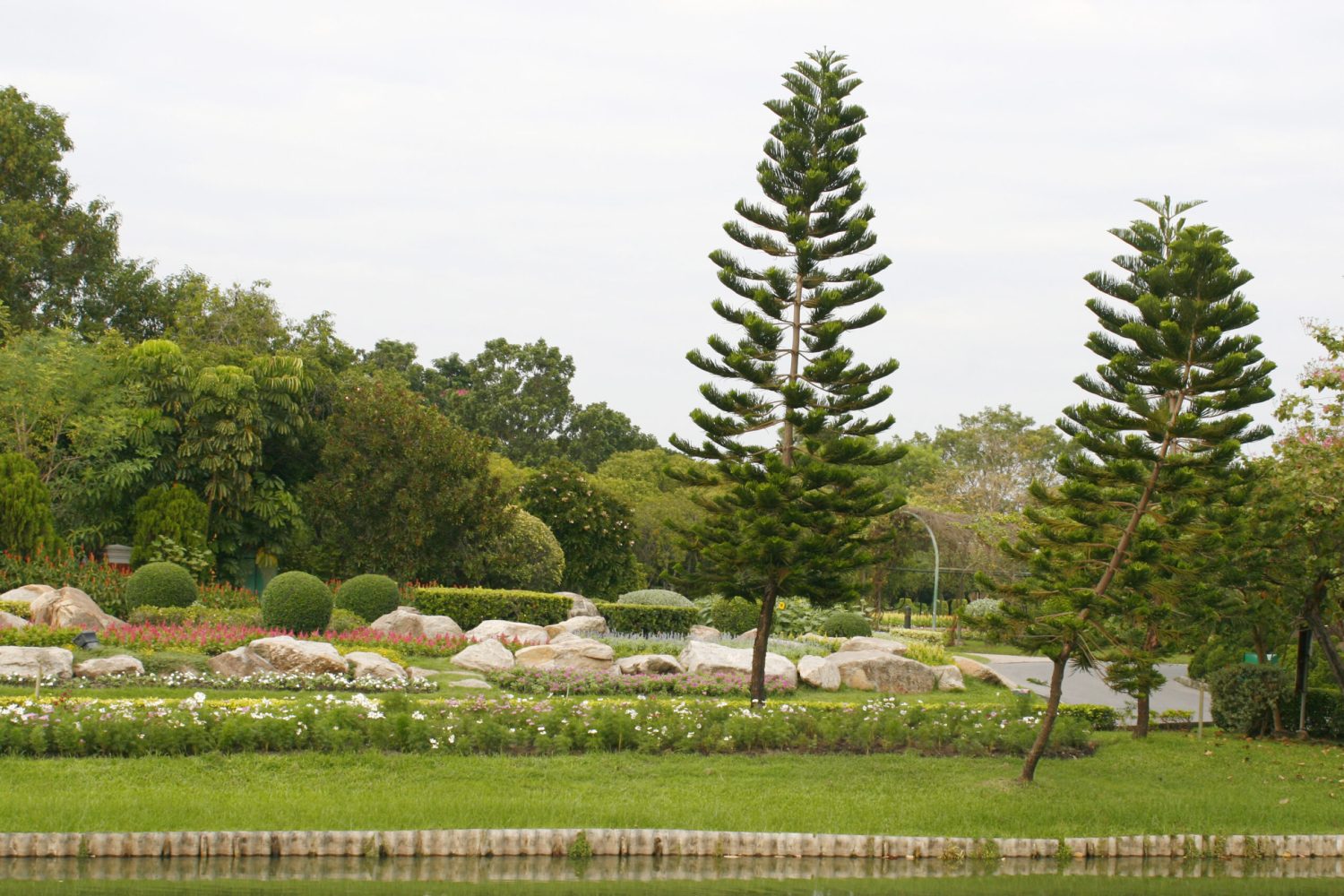 Outdoor landscape garden with pond