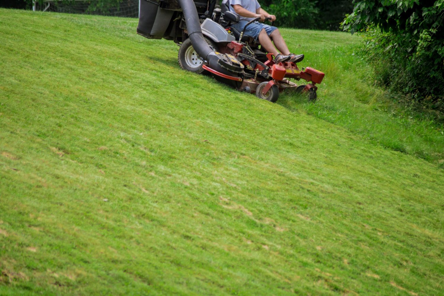 Summer season sunny day lawn mowing in the garden process of lawn mowing