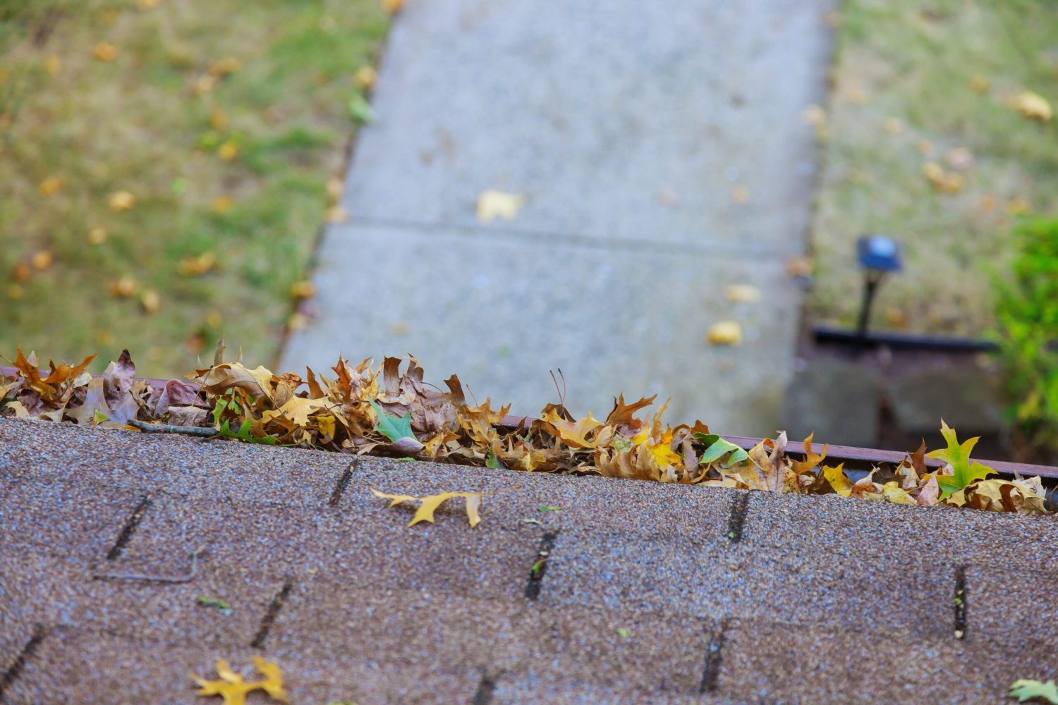 Yellow leaves are covered with iron gutter cover on a roof with leaves on the outside